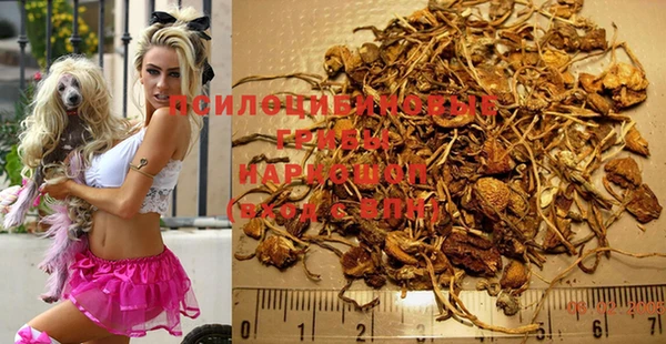 Альфа ПВП Алзамай