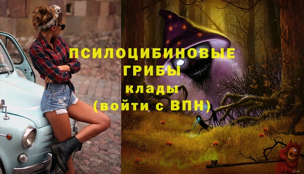 прущий лед Алексин